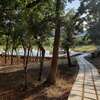 Апартаменты Green Hill Apartments Улцинь-7